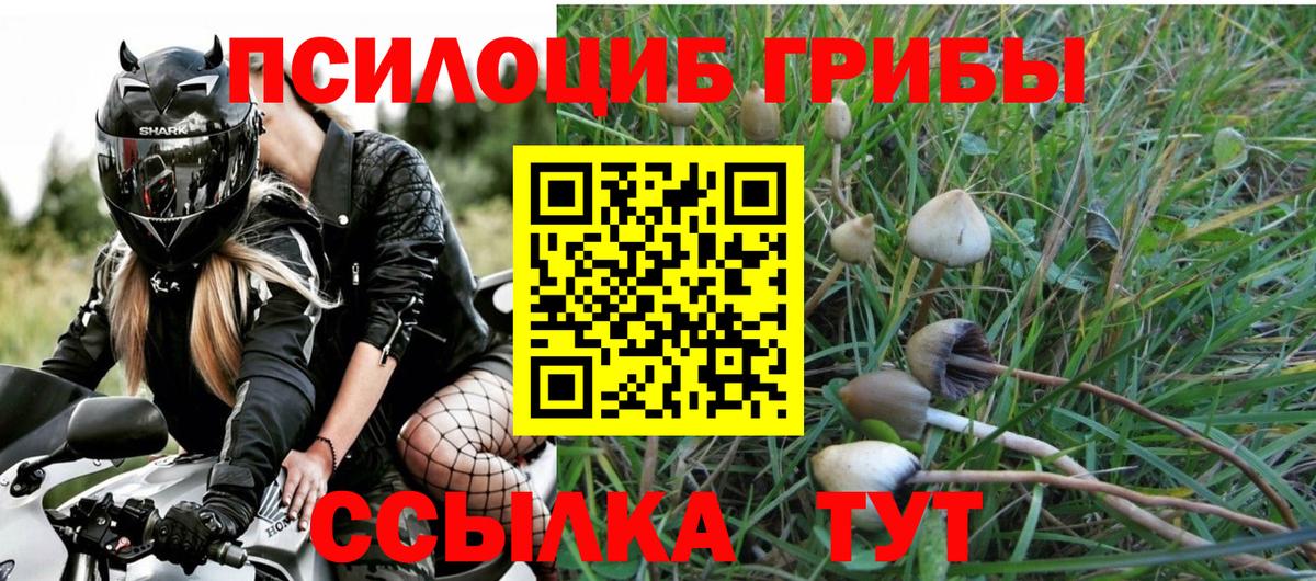 Кузнецк  Галлюциногенные грибы ЛСД  Вход с VPN 