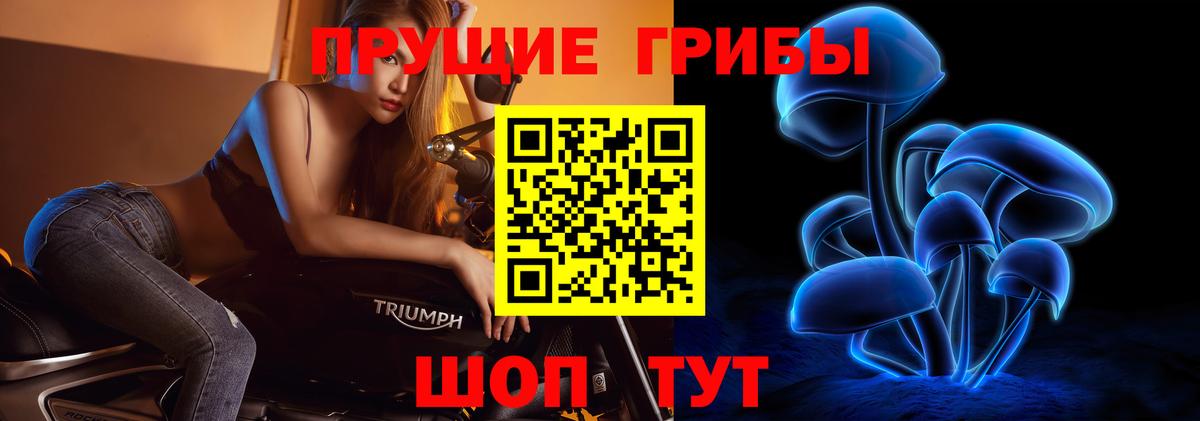 Псилоцибиновые грибы Magic Shrooms Кузнецк